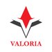 Valoria Business Solutions - consultanta, training si executive coaching